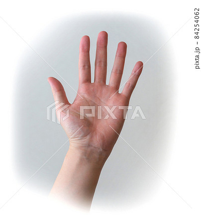 挙手 84254062