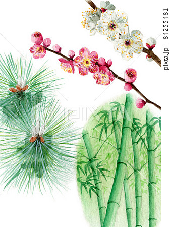アナログ水彩縁起物植物松竹梅 84255481