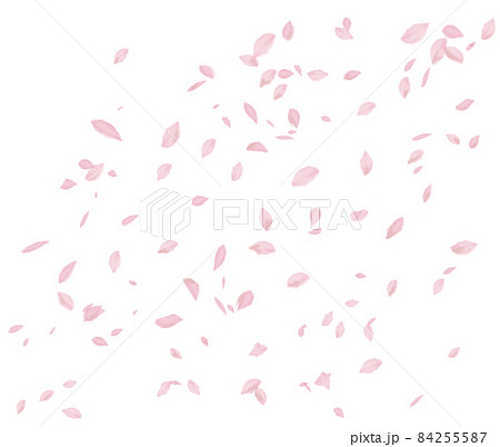 水彩調ではらはら舞う淡いピンク色の桜吹雪のイラスト素材