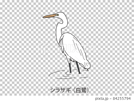 [縣鳥] Shirasagi（Shirasagi）德島縣 84255794