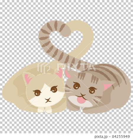 しっぽでハート型を作る2匹のネコ(背景なし) 84255949