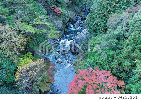 巨岩と水流に覆われた東京の大自然鳩ノ巣渓谷 巨岩と水流に覆われた東京の大自然鳩ノ巣渓谷 84255961