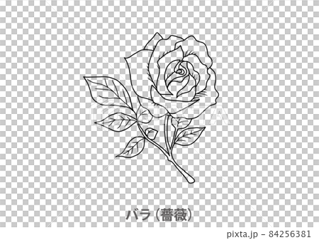 絵　バラ 薔薇 ワイヤーアート ワイヤークラフト その他インテリア雑貨