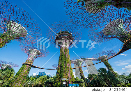 【シンガポール】ガーデンズ・バイ・ザ・ベイの風景 84256464