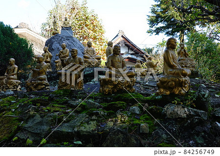井原寺 井原寺 84256749