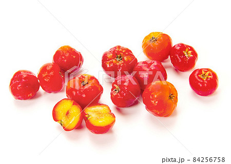 アセロラ 84256758