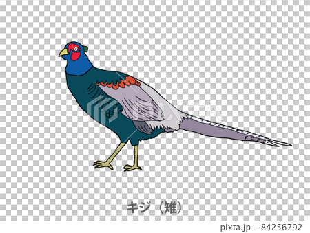 絵画　鳥　キジ　木枠 絵画 鳥 キジ 木枠