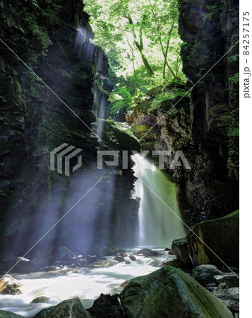 スッカン沢　雄飛の滝の光芒 84257175