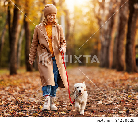 Happy smiling woman walking her cute golden retriever puppy in forest on beautiful fall day Happy smiling woman walking her cute golden retriever puppy in forest on beautiful fall day 84258029
