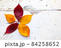 秋、紅葉した落ち葉とシャビーシックなビンテージアンティークの白いテーブル 84258652