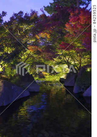 徳川園水面に浮かぶ岩と紅葉のリフレクション 徳川園水面に浮かぶ岩と紅葉のリフレクション 84259525
