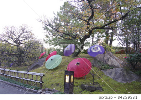 徳川園紅葉とパラソルの素敵な関係 84259531