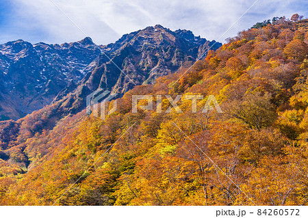 (群馬県)谷川岳 マチガ沢の紅葉 (群馬県)谷川岳 マチガ沢の紅葉 84260572