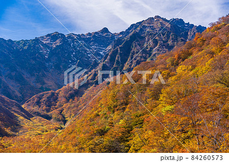 （群馬県）谷川岳　マチガ沢の紅葉 84260573