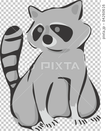 Raccoon illustration material 84260616