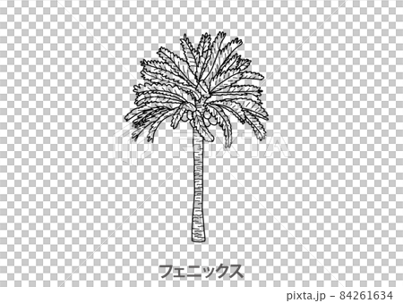 [Prefectural Tree] Phoenix Miyazaki Prefecture-Line Drawing 84261634