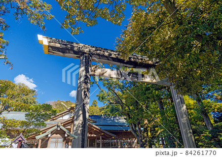 伊勢 猿田彦神社 大鳥居 84261770