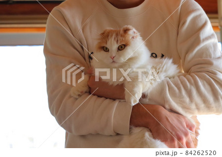 ペットを抱っこする男性 飼い主 ペットを抱っこする男性 飼い主 84262520