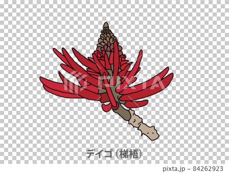 【県花】デイゴ(梯梧)沖縄県 【県花】デイゴ(梯梧)沖縄県 84262923