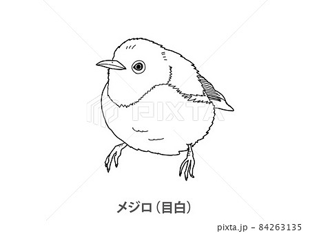 県鳥 メジロ 目白 大分県 線画のイラスト素材