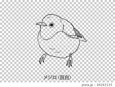 [縣鳥]白眼（目白）大分縣-線描 84263135