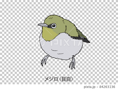 [縣鳥]白眼（目白）大分縣 84263136