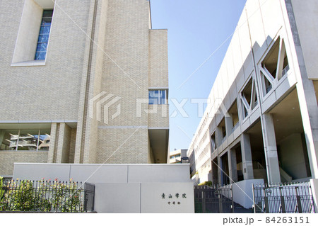 青山学院 84263151