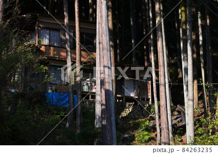 高木の森《奥多摩町》 84263235