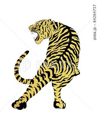 虎イラスト31 84264757