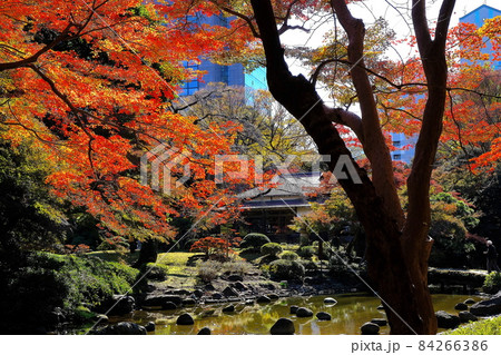 秋の小石川後楽園 秋の小石川後楽園 84266386