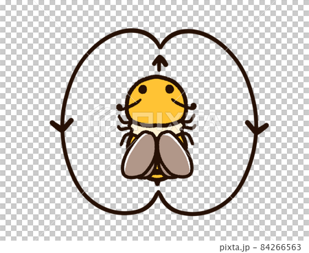 Bee dance figure eight 84266563