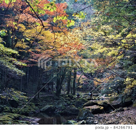 赤目四十八滝 84266791