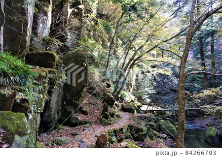 赤目四十八滝 84266793