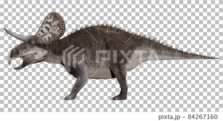 Zuniceratops ☆ Zuniceratops 84267160