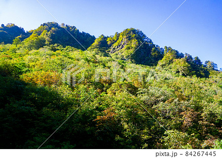 秋の風景 紅葉 黃葉 海谷山塊 新潟 秋の風景 紅葉 黃葉 海谷山塊 新潟 84267445