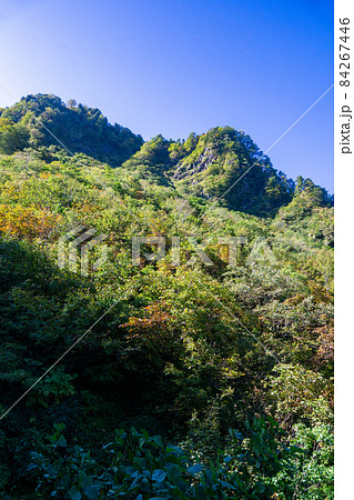 秋色の山肌　紅葉　黃葉　朝　快晴 84267446