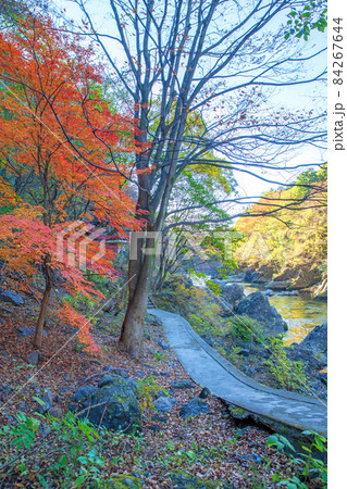 高津戸峡　高津戸渓谷　遊歩道からの眺め　紅葉はじめ　秋の風景 84267644