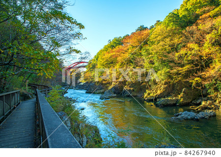 高津戸峡　高津戸渓谷　遊歩道からの眺め　紅葉はじめ　秋の風景 84267940