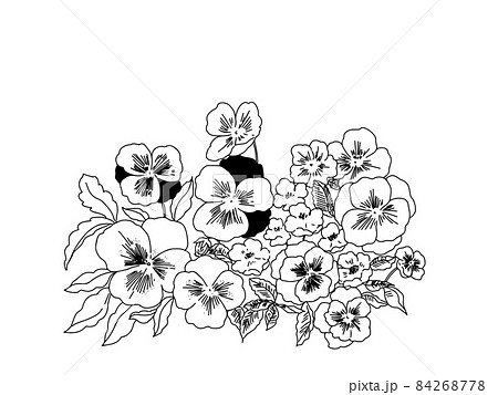 手描きのパンジーとビオラの花畑のイラスト素材