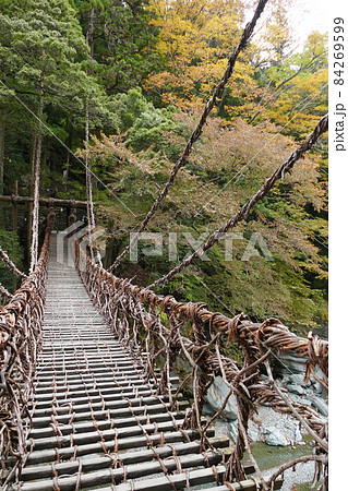 祖谷のかずら橋 徳島県 祖谷のかずら橋 徳島県 84269599