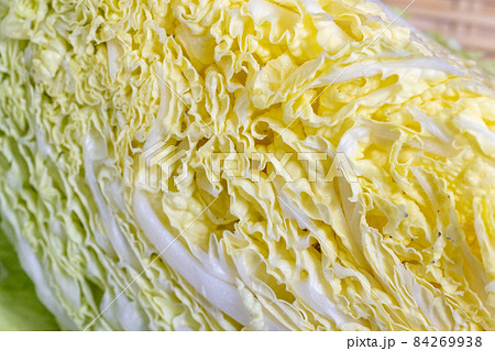 白バック 白菜 1/4カット 白バック 白菜 1/4カット 84269938