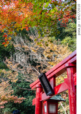 海地獄　白龍稲荷大神の鳥居　紅葉 84272010
