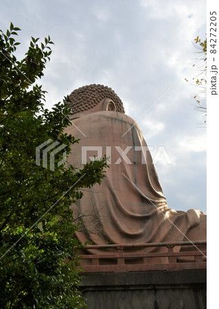 聚楽園大仏と紅葉 聚楽園大仏と紅葉 84272205