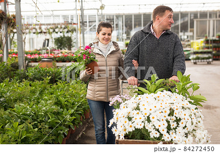 Couple carrying shopping trolley with flowers 84272450