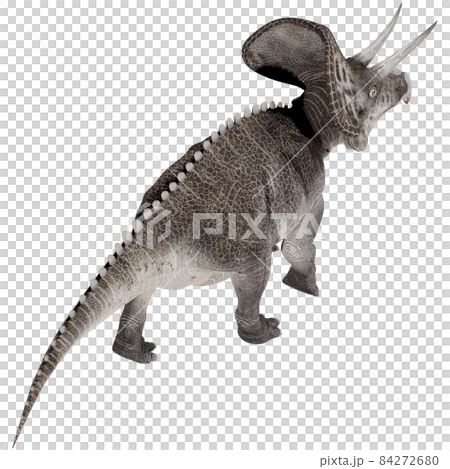 Zuniceratops ☆ Zuniceratops Zuniceratops ☆ Zuniceratops 84272680
