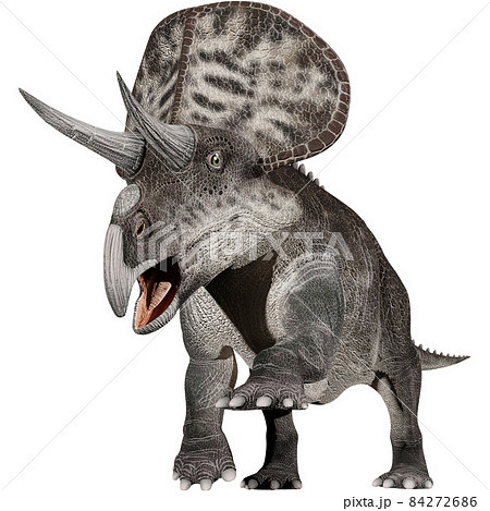 ズニケラトプス☆Zuniceratops ズニケラトプス☆Zuniceratops 84272686