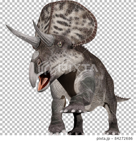 ズニケラトプス☆Zuniceratops ズニケラトプス☆Zuniceratops 84272686