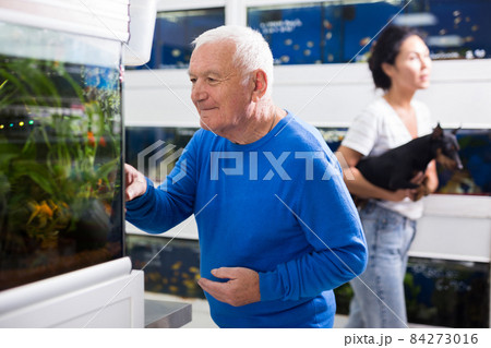 Positive mature man chooses aquarium fish in pet shop Positive mature man chooses aquarium fish in pet shop 84273016