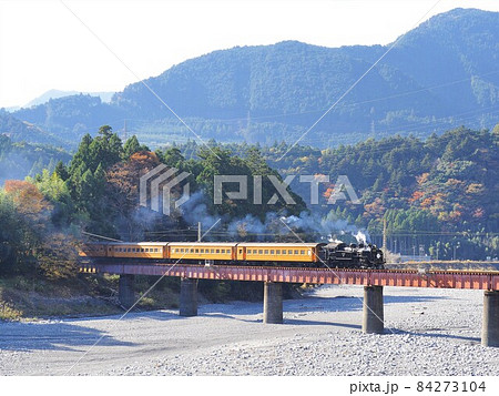 静岡県　大井川第四橋梁の紅葉とSL　11月 84273104