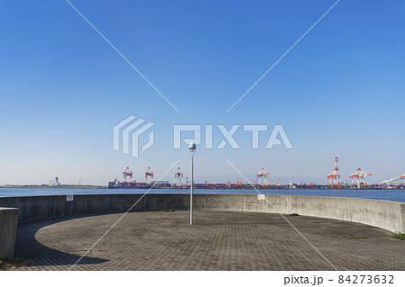 シーサイドコスモ(コスモスクエア海浜緑地) シーサイドコスモ(コスモスクエア海浜緑地) 84273632